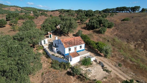 São Luís, Trejanitos