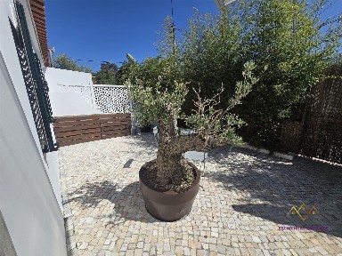 Sintra, Várzea de Sintra - Ribeira de Sintra, Rua Delfim de Almeida Fernandes