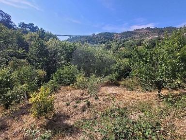 Quinta à venda em Candemil