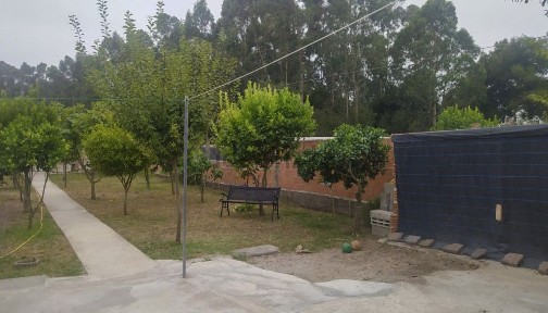 Vila do Conde, Porto