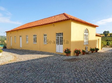 São João da Madeira, Rua Jaime Afreixo