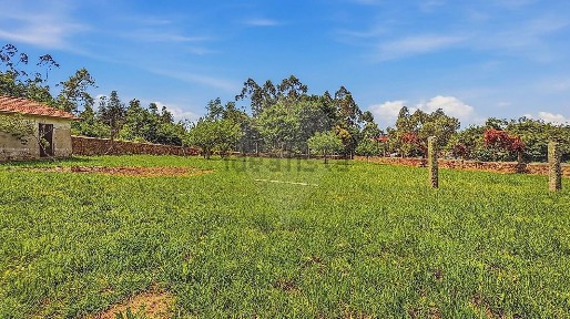 Quinta à venda na Rua Coteiro