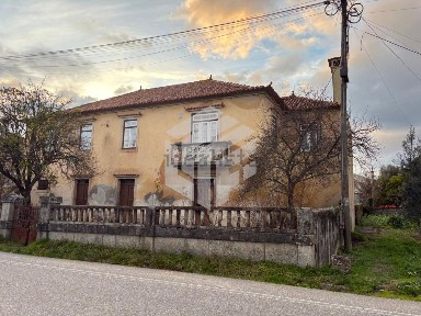 Seixo da Beira, Avenida Comércio