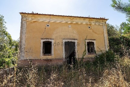 Arazede, Rua António de Oliveira Moleiro
