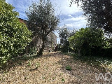 Tábua, Coimbra