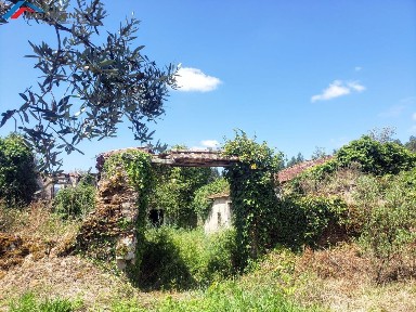 Penacova, Coimbra