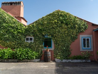 Miranda do Corvo, Coimbra