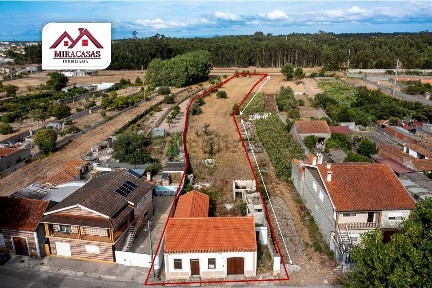 Mira, Coimbra