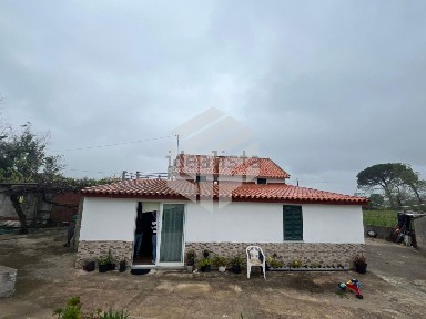 Midões, Em502
