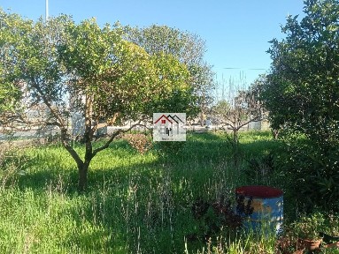 Tocha, Rua Inácios
