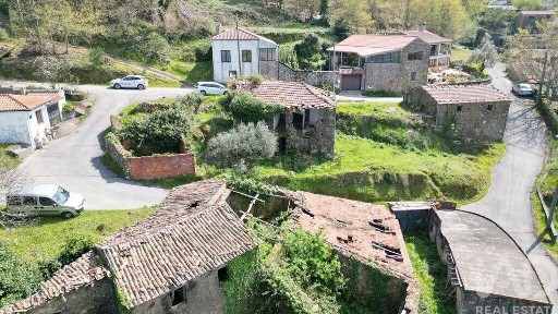 Miranda do Corvo, Coimbra