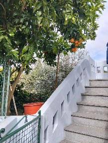 Midões