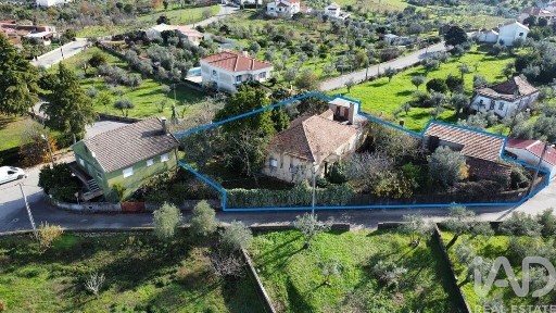 Proença-a-Nova, Castelo Branco