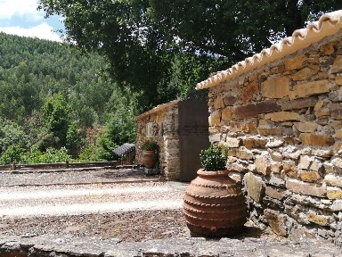 Quinta à venda em Campelo