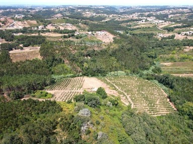 Herdade à venda na Rua do Casal Novo