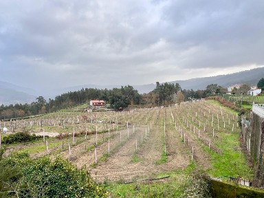Quinta à venda em Chaviães