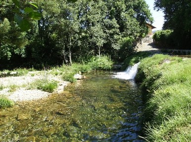 Quinta à venda em Âncora
