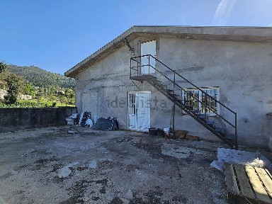 Cuide de Vila Verde, N101