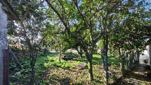 Moradia independente à venda em Santa Marta de Portuzelo