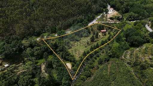 Celorico de Basto, Braga