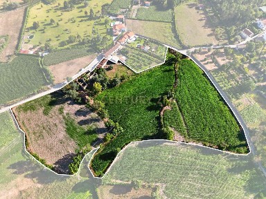 Herdade à venda na Rua da Quintela s/n