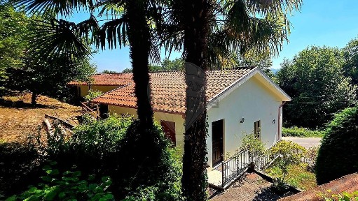 Eira Vedra, Rua do Picoto