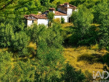 Quinta à venda em Alegrete