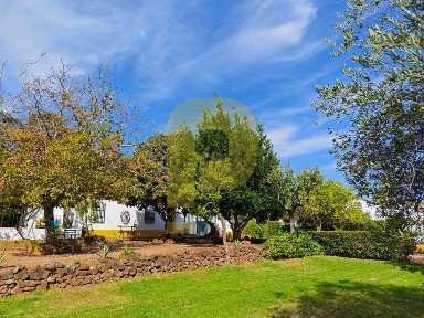Quinta à venda em São Brás e São Lourenço