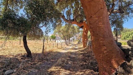 Quinta à venda em Santo António das Areias