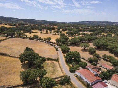 Quinta à venda em São Salvador da Aramenha