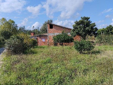 Santa Comba Dão, Viseu