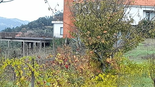 Quinta à venda em Nespereira