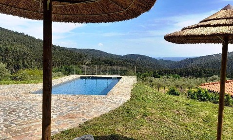 Pala, Eirigo