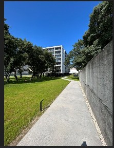 Arrendamento de apartamento T1 na Rua Horácio Marçal, 115
