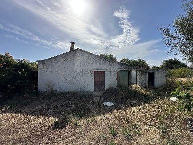 Tavira, Faro