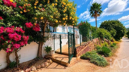 Silves
