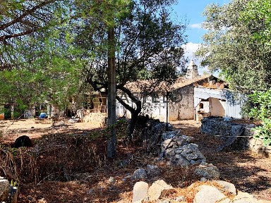 Santa Bárbara de Nexe, Estrada Municipal 520
