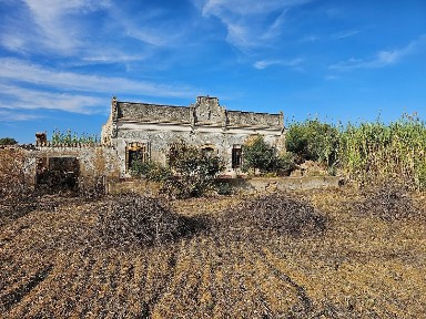 Olhão, Faro