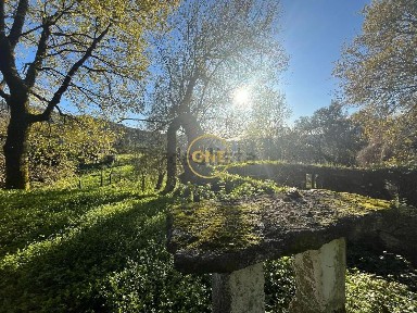 Terras de Bouro, Braga