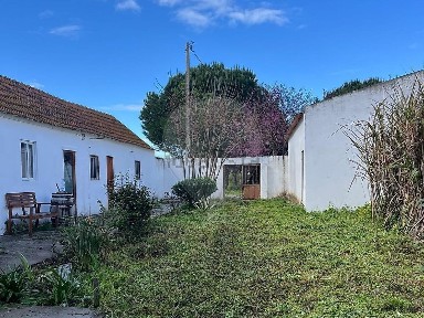 Arrendamento de quinta em Poceirão e Marateca