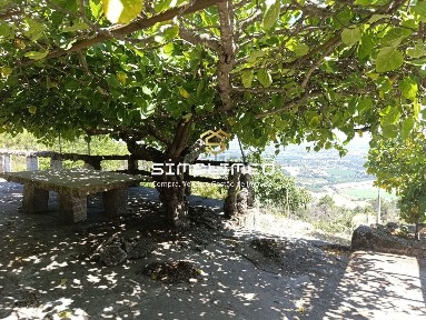 Covilhã, Castelo Branco