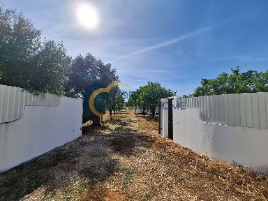 Casa ou moradia à venda em Paderne