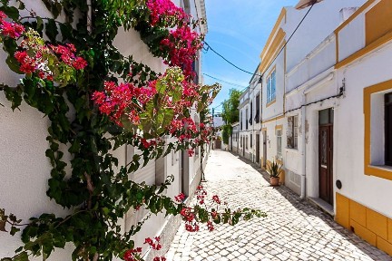 Tavira