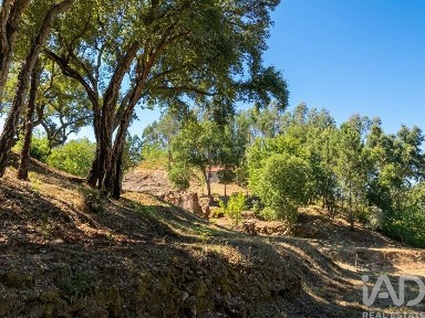 Quinta à venda em Castelo