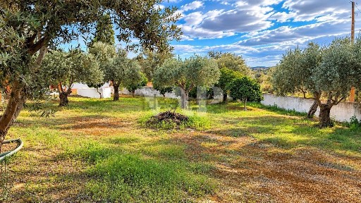 Casa ou moradia à venda em São Miguel do Pinheiro - São Pedro de Solis - São Sebastião dos Carros