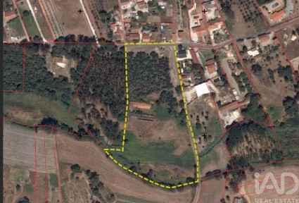 Armazém à venda em Rio Maior