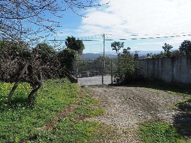 Quinta à venda na Rua Fontinha