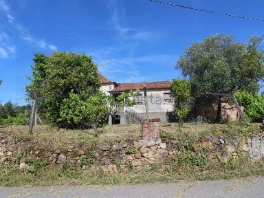 Mouronho, N17, 3596