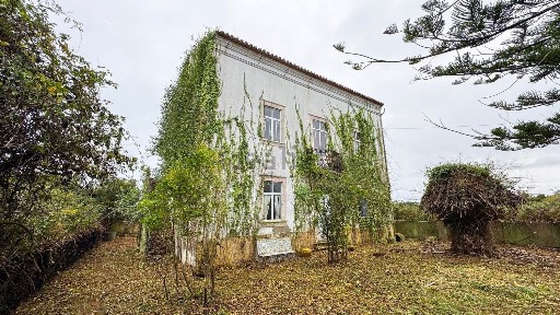 Montemor-o-Velho e Gatões, Rua Principal