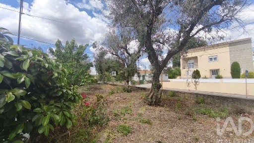 Moradia independente à venda em Oliveira do Hospital e São Paio de Gramaços